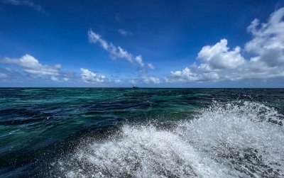 Seychellen Flyfish Adventures 10-2022 2022-10-flyfish-adventures-seychellen-246.jpg